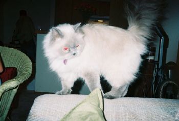 sweet2yummy9 profile photo