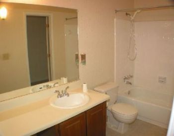 aniesia profile photo