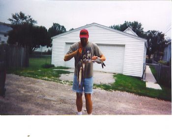 coolhouse profile photo