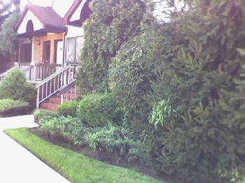 jctopbro8 profile photo