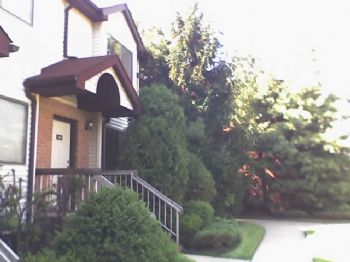 jctopbro8 profile photo