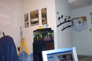 vegaslover36 profile photo