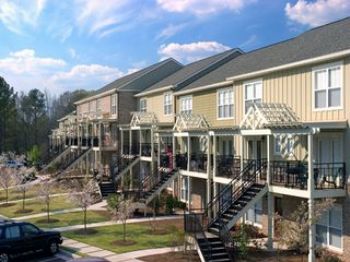 parrothead83 profile photo