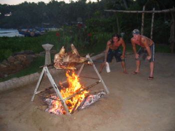 scodee profile photo