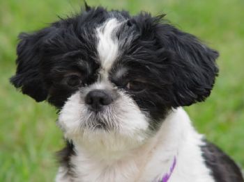 Rosemarie profile photo