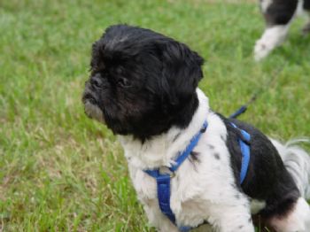 Rosemarie profile photo