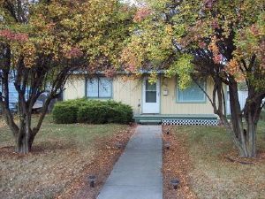 puffytails5 profile photo