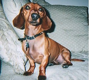 srgntfioyd profile photo