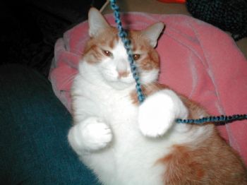 hydrix13 profile photo