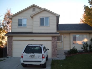 sbcat23 profile photo