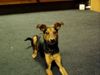 musictab22 profile photo