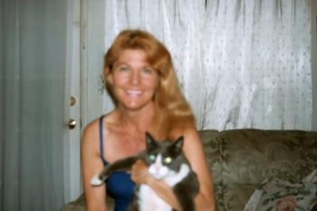 sunflower profile photo