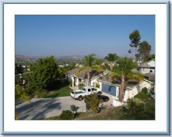 dorado profile photo