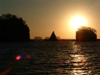 faguila7 profile photo