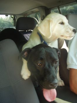 slimjen20 profile photo