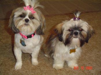 cebryon profile photo