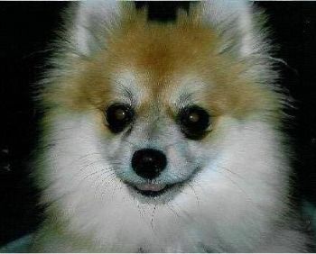 MollieR profile photo