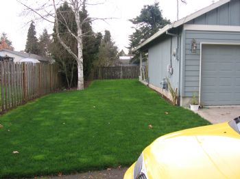 sillytheshar profile photo