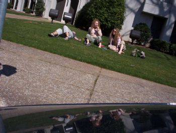 Tpulse profile photo