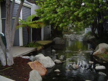 MVilla profile photo