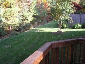 laura2005 profile photo