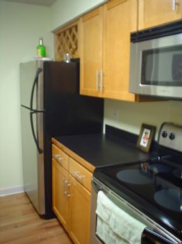 cubfitz profile photo