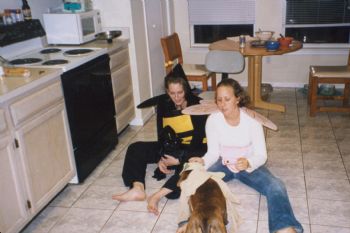 junglefish41 profile photo