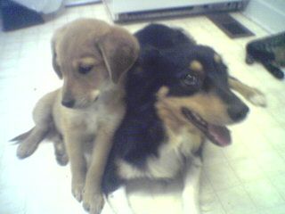 squishy_310 profile photo