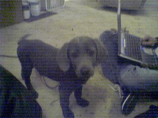 squishy_310 profile photo