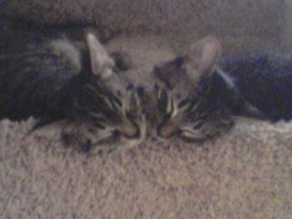 squishy_310 profile photo