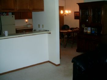 davidn profile photo