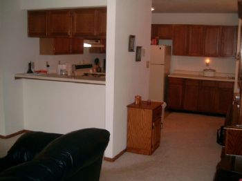 davidn profile photo