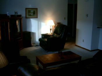 davidn profile photo