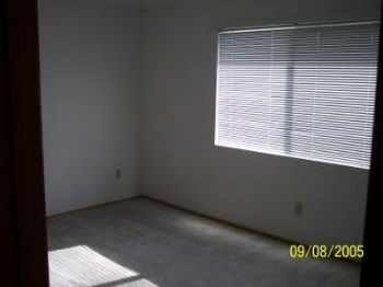 pee_chan profile photo