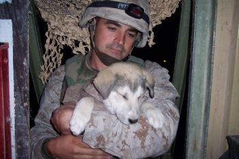 usmcpace profile photo