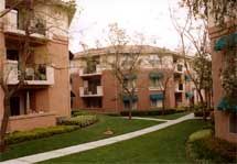 NicePerson profile photo