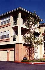 NicePerson profile photo