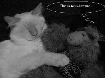 clrice profile photo