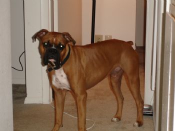 mdchick profile photo