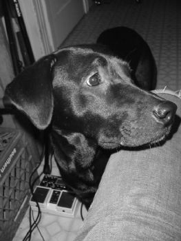 eausmus profile photo