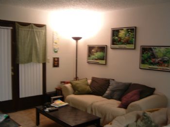 Shelloo profile photo