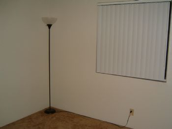 Shelloo profile photo