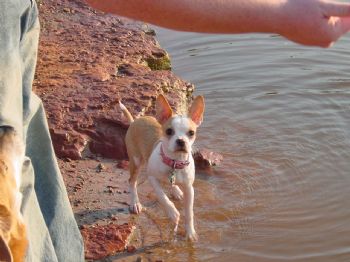 stevenhainer profile photo