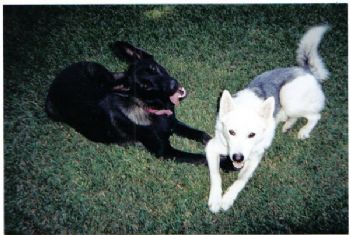 sweetsuzy574 profile photo