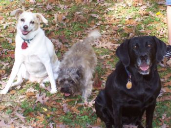 mo112362 profile photo