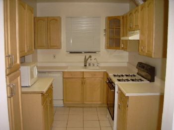 slucas4 profile photo