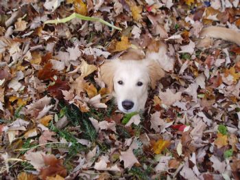 EricC77 profile photo