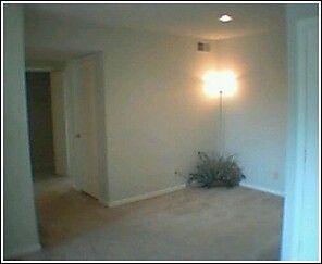 sk8nplayr profile photo