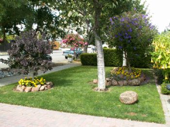 sepultura510 profile photo