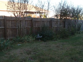 mesaskin profile photo